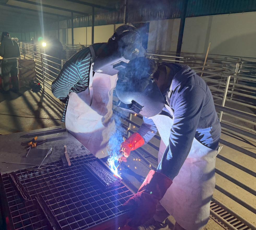 Actividad práctica realizada durante una formación técnica